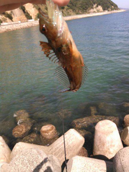 レガーメ　牙突